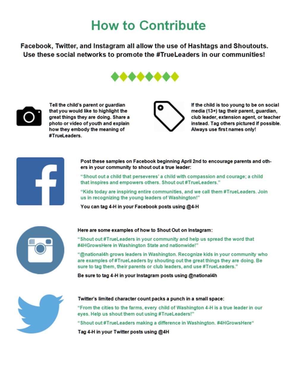 marketing materials 4 h youth development program washington 4h meaning