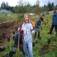 swm planting service