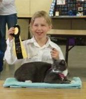 Cat Show 9-10 (Mobile)