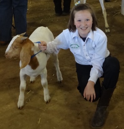 Goat2013