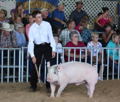 Swine2013