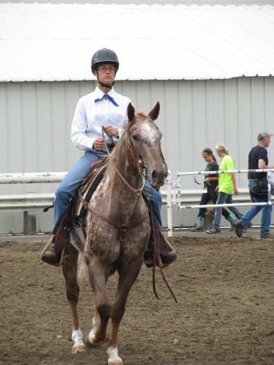 Horse2013