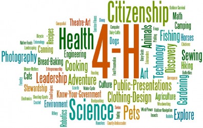 4-H-Wordle-small1