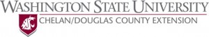 che_doug-logo-color_jpg-300x54