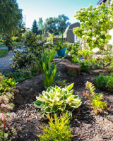 sunshadow garden