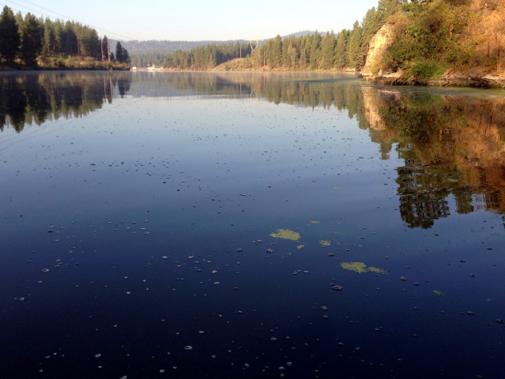 New Paper Linking Reservoir Drawdowns to Large Methane Emissions to