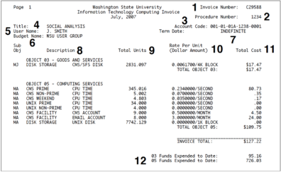 WSU IT Computing Invoice sample
