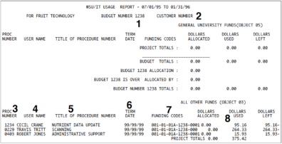 WSU/IT Usage Report sample