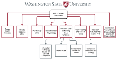 WSU Hybrid Entity Designation Covered Components - October 2020