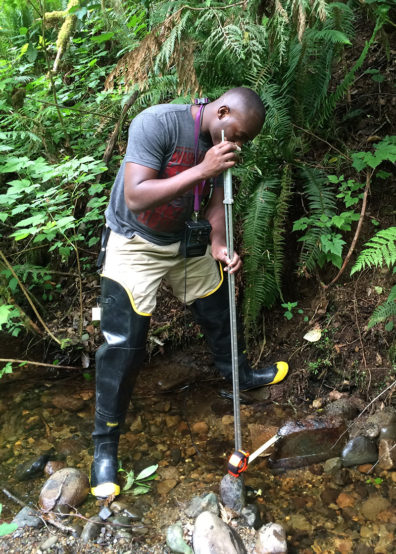 Lambert working in the field