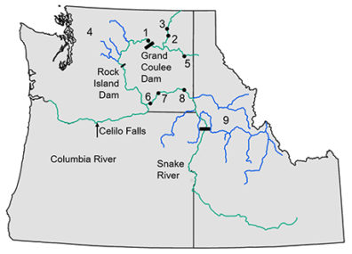 Map of Columbia and Snake River complex