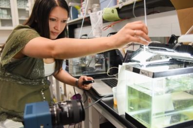 Student in the lab , photo by WSU Tri-Cities