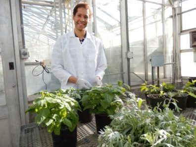Korey Brownstein in a greenhouse.
