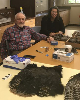 two people at a table with a turkey pelt.