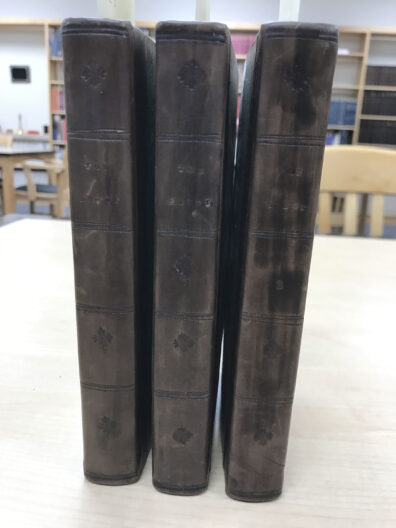 Aged book bindings.