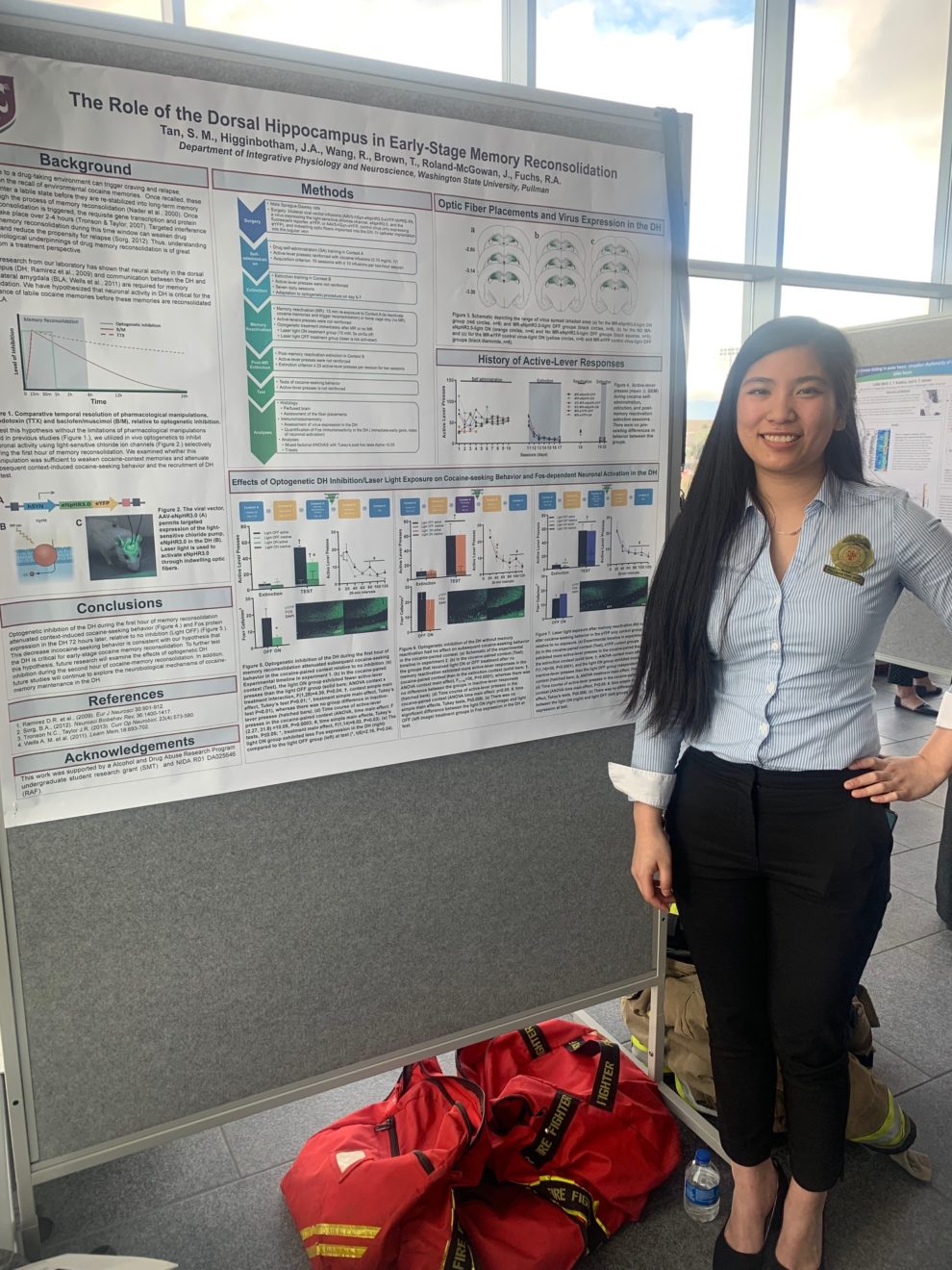 Ipn committee meeting picture