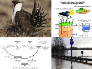 Top-down and bottom-up modeling perspectives