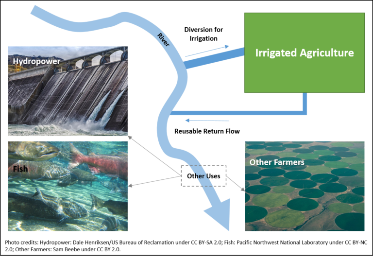 Irrigation Efficiency What Do the Researchers Say? Agriculture