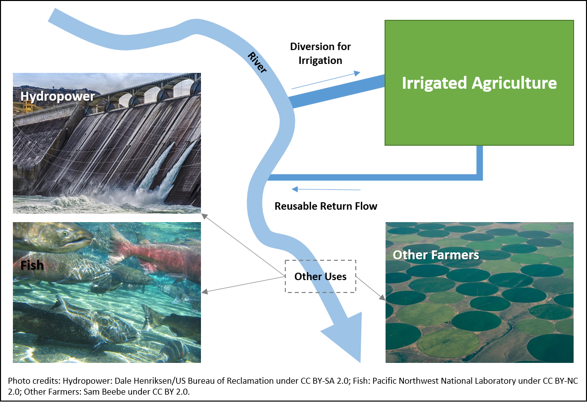 Irrigation Efficiency What Do the Researchers Say? Agriculture