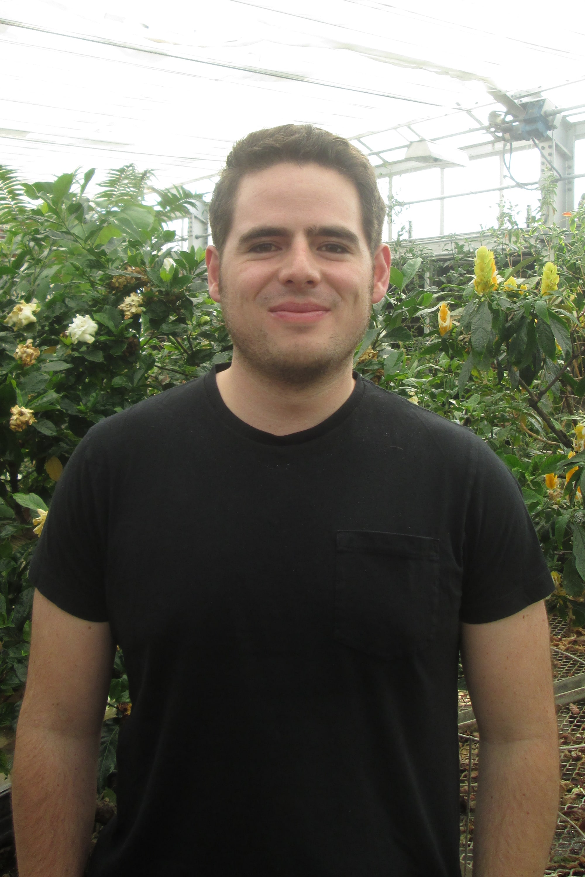 Bernardo Traversari