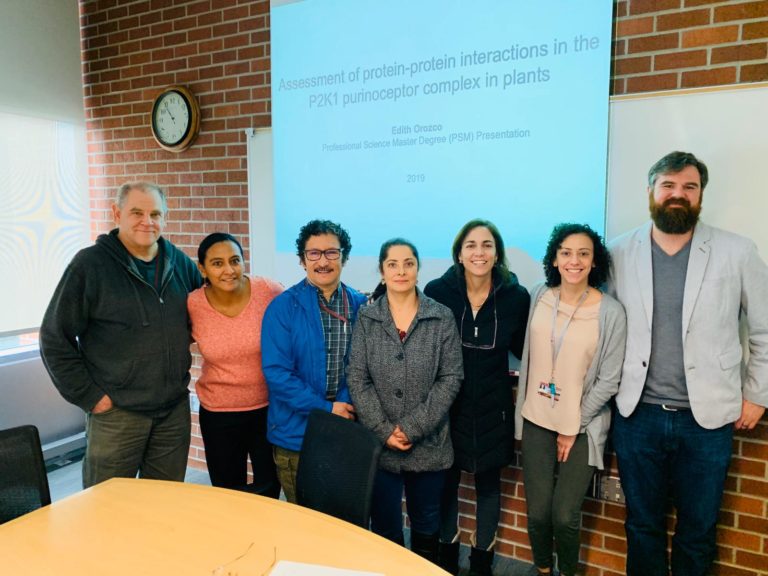 Wsu graduate school forms image