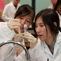 Students in a Summer Biology Course Extracting DNA from Cheek cells