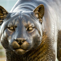 the cougar pride sculpture