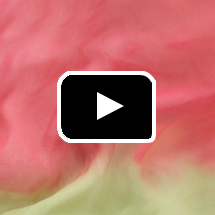 rose and gold silk texture in background, video play button in foreground