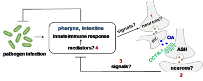 Handbook of Immune Response Genes
