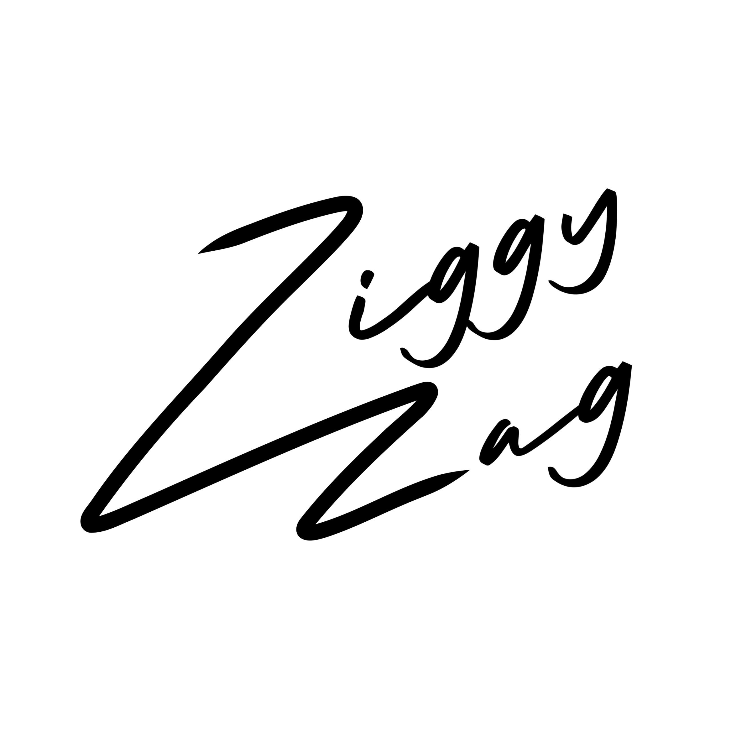 Ziggy Zag Apparel