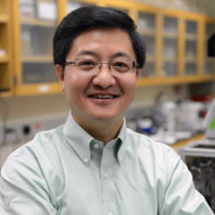 Yong Wang in profile against a lab environment with cabinets and lab equipment.