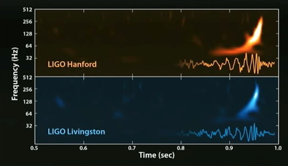 Telling apart signals from binary black holes and neutron stars from noise transients in