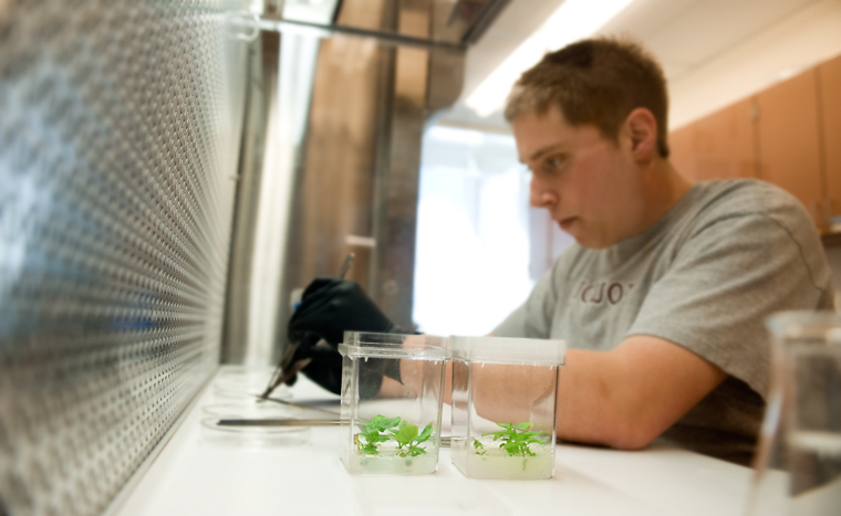 Image of a student working in a laboratory.
