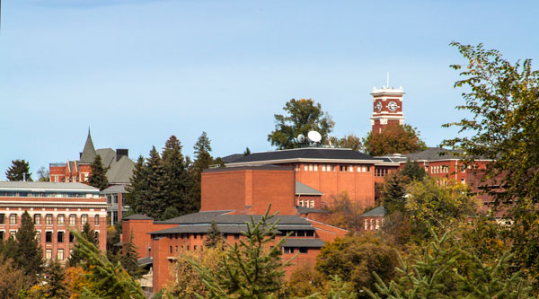 Picture of WSU Pullman campus on a sunny day