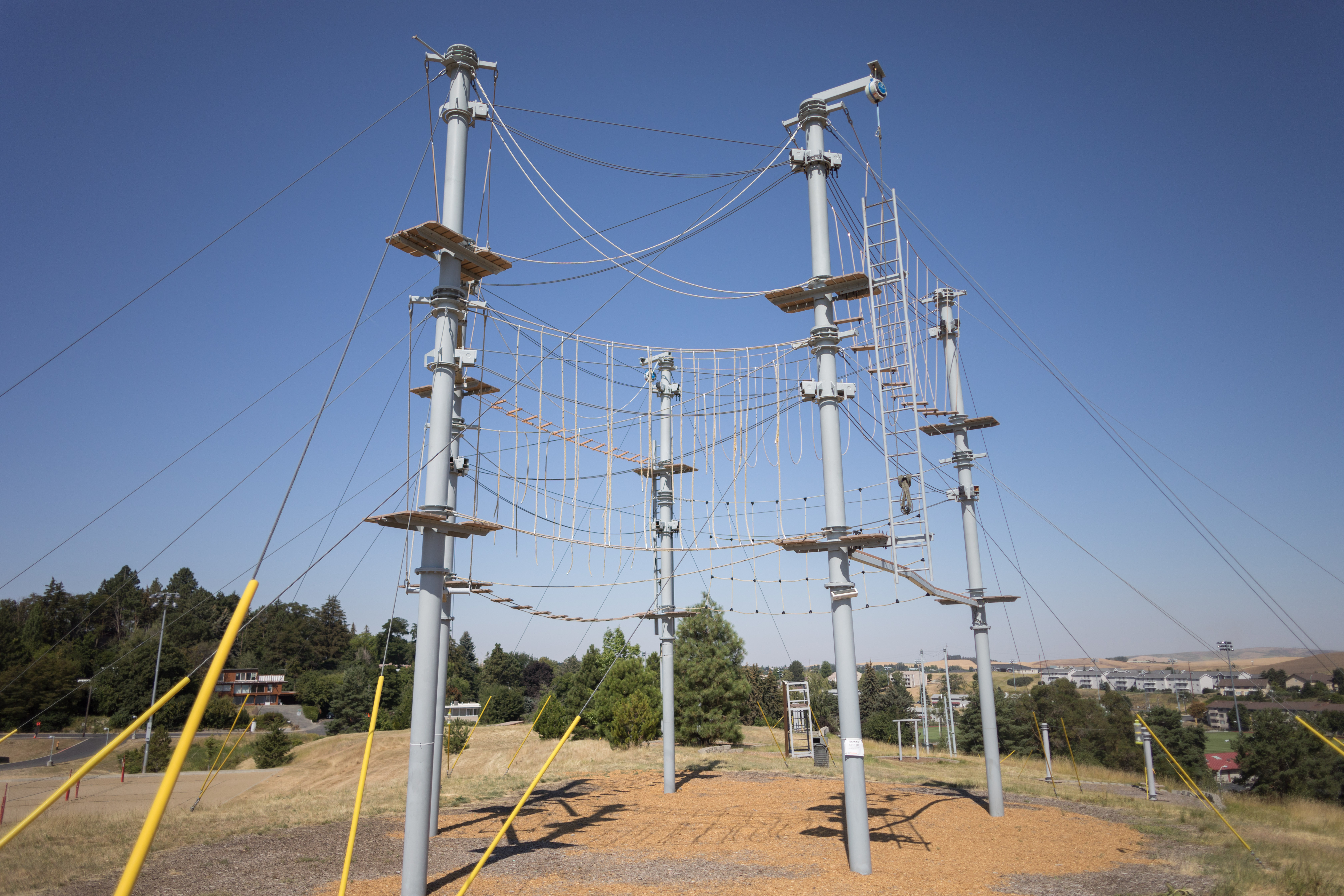 Mom S Weekend Challenge Events Washington State University