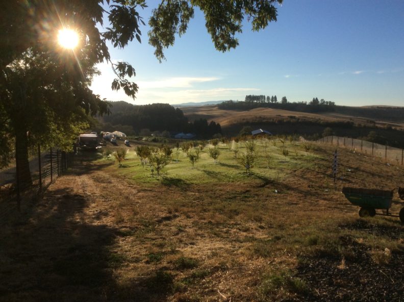 A photo of Eggert Organic Farm with trees, a fence, and a wheelbarrow