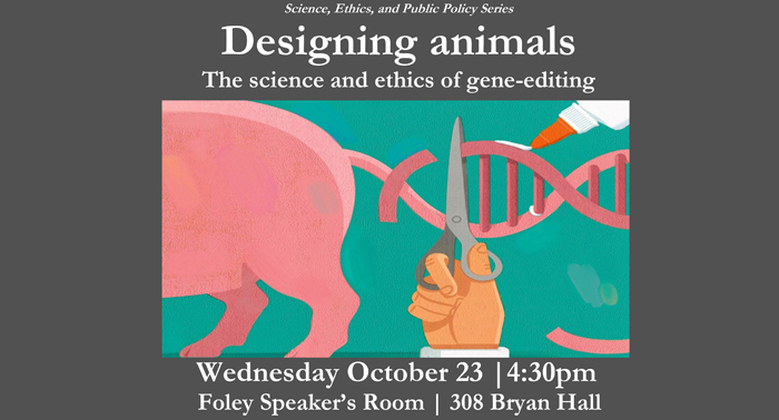 Designing animals poster