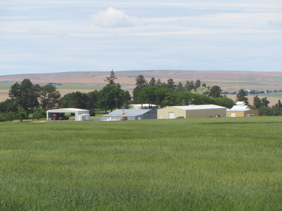 2023 Lind Field Day Events Washington State University