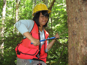 A team member takes a core sample.
