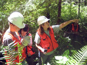 In addition to forestry, students who signed up also learned about team work