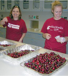 Food science students get on-the-job sensory science training workin in Carolyn Ross's lab.