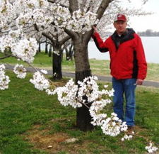 Bill Howell stands next to one of the Usuzumi cherry trees clean of viruses by a predecessor of NCPN-FT.