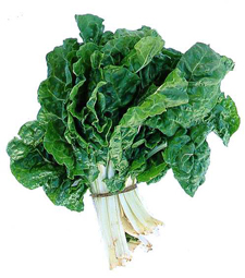 "Eat your spinach!" might be a more appealing idea to kids if they've grown it themselves.