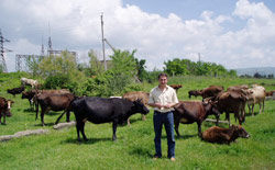 A cattle farmer on a recently privatized farm outside Tbilisi, the capital of Georgia.