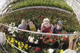 WSU undergraduate environmental horticulture majors