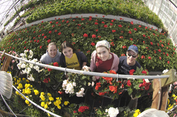 Students in the old Wilson Road greenhouse, soon to be replaced with a display garden