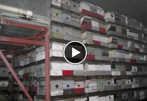 Watch this video featuring Eric Olson on why research is important to him.