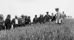 Agronomist O. A. Vogel speaks to farm visitors at a Lind field day in 1942 (Manuscripts, Archives & Special Collections, WSU Libraries)