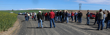 Growers, industry representatives and researchers tour oilseed fields in Douglas County.