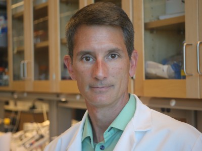 Dan Rodgers, professor at Washington State University, has helped to create a new gene therapy that could help end muscle wasting disease.